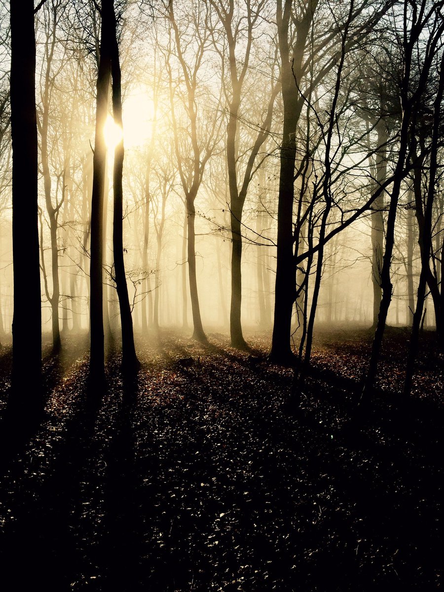 Autumn Photo Competition