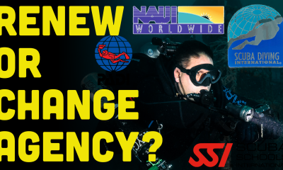 ScubaverseMedia's tweet photo. Should I Switch Scuba Diving Training Agencies For 2021? (Watch Video). @DiversReady investigate...
#DiversReady #video #diving #dive #training #instructors #COVID19
https://t.co/nBc1lwlyq1 https://t.co/X7KcPkJZYN