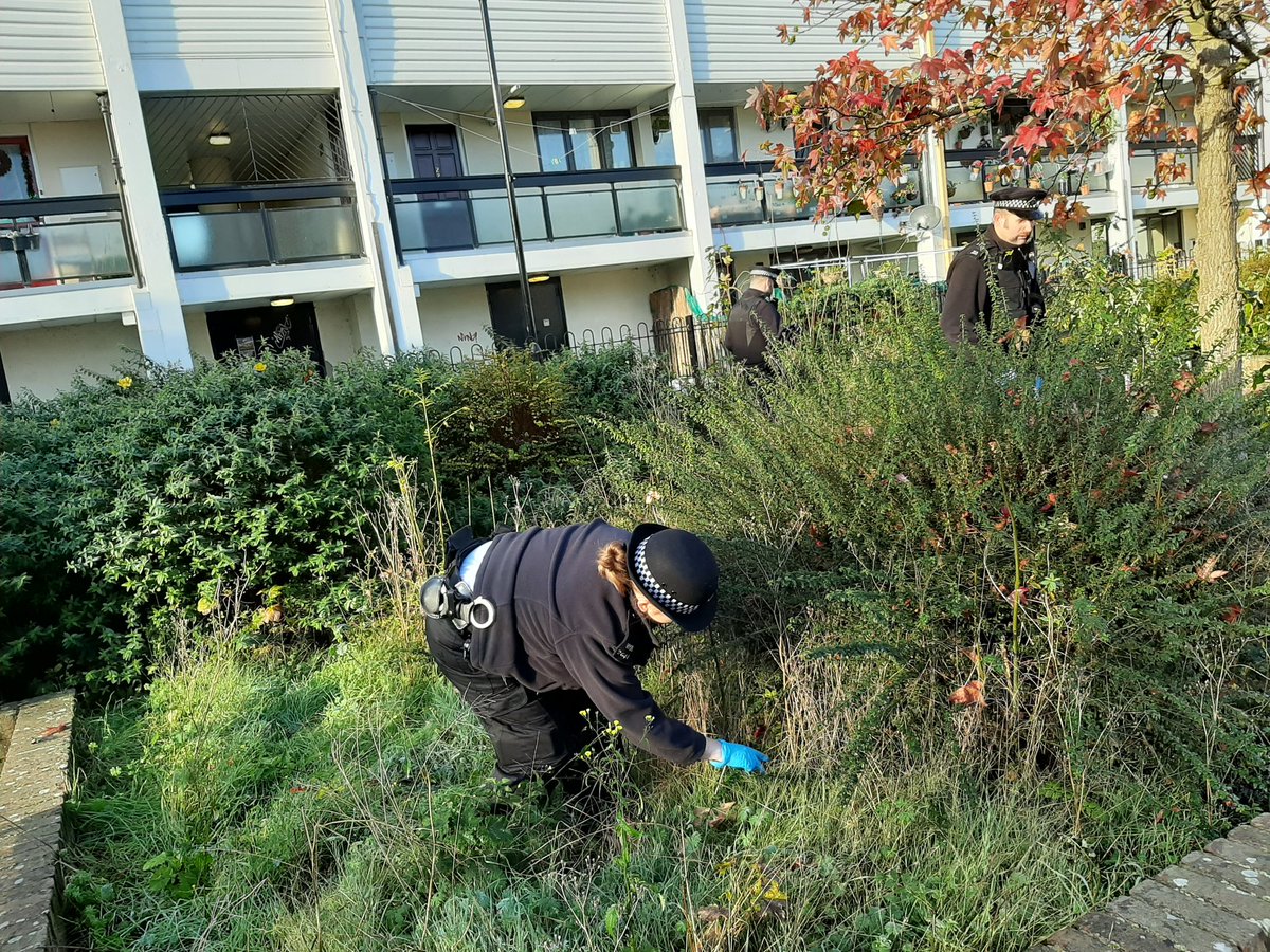 MPSIsleworth's tweet photo. The team conducted weapon sweeps on the Ivybridge estate this morning, after a rise in ASB from groups. A nasty combat knife was found and is now off the streets. #saferstreets #hounslowpolice https://t.co/oErFkkoZq7