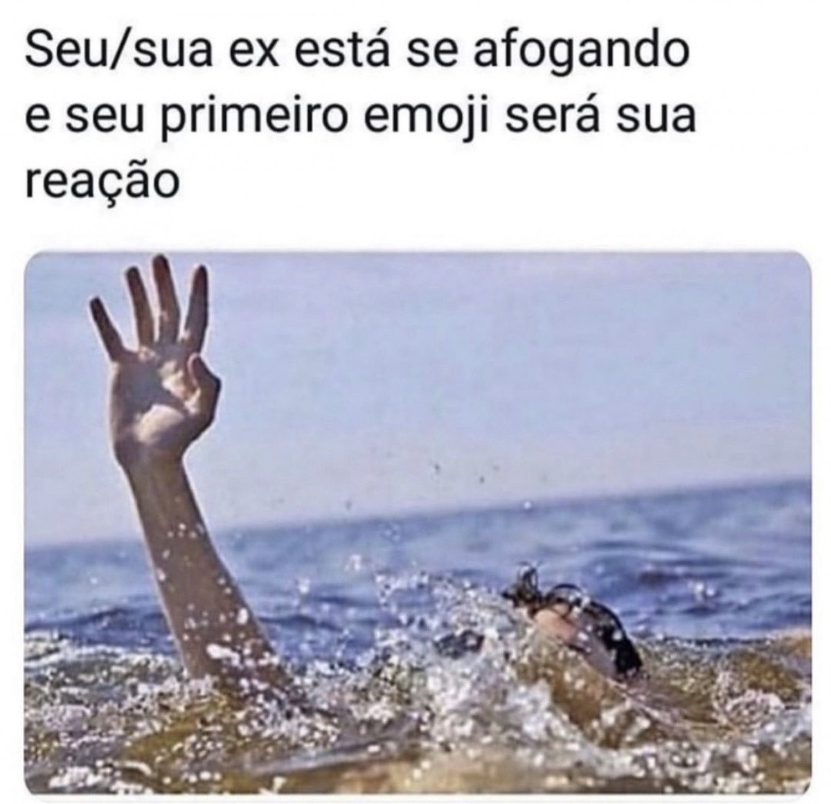 memes inuteis para salvar sua vida inutil tweet media