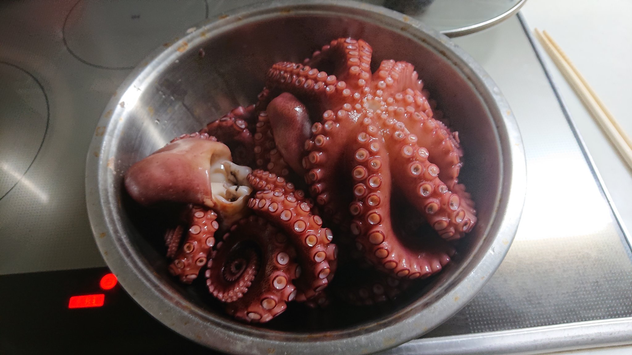 にんひどりん 釣れたてのタコを頂いたので下処理 明日はタコパだな T Co Irnstakitn Twitter