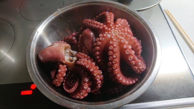生タコ 茹でタコの日持ちはどれくらい 上手な保存方法も お食事ウェブマガジン グルメノート