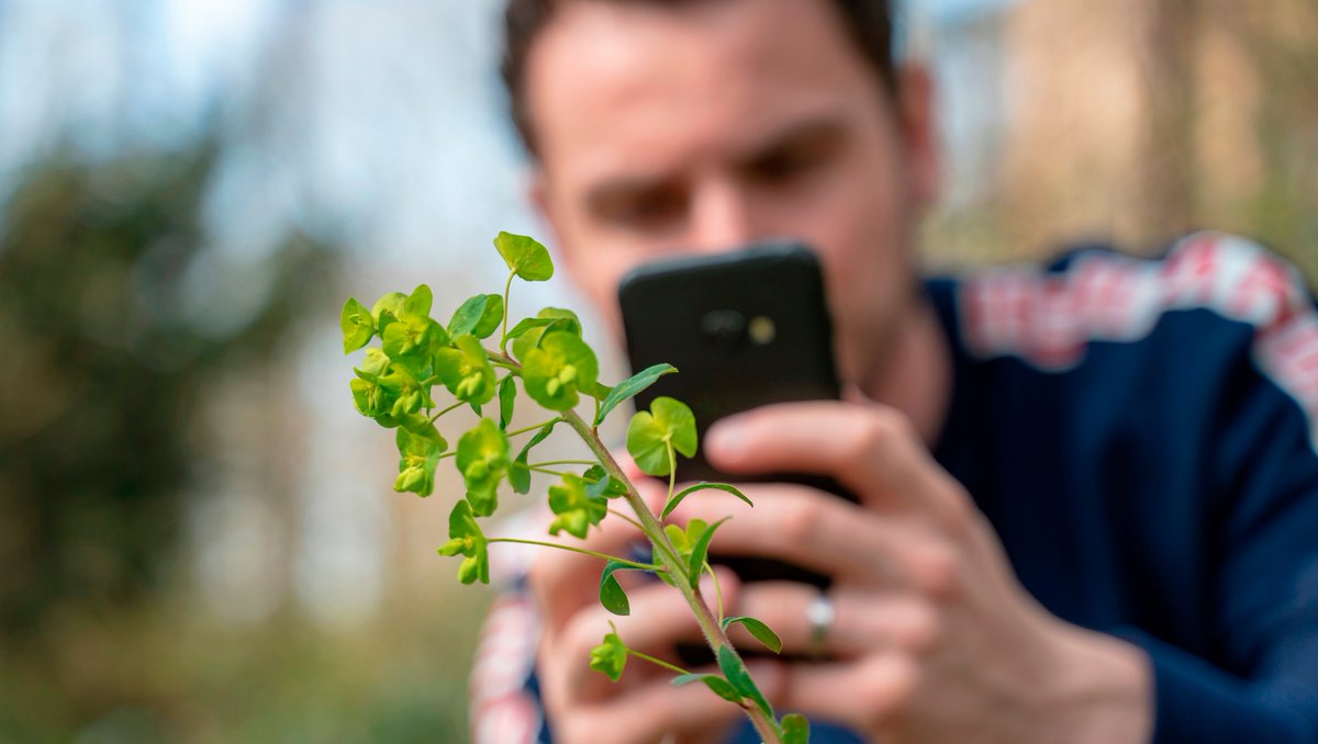 Right now over on  @instagram scientists are taking to the 'gram sharing their work as part of a collaboration with  @nat_his_con where we've them up paired Instagrammers  #FUTURES2020  #EuropeanResearchersNight. Check out  https://futures2020.co.uk/events/futuresxinstagram/ for deets