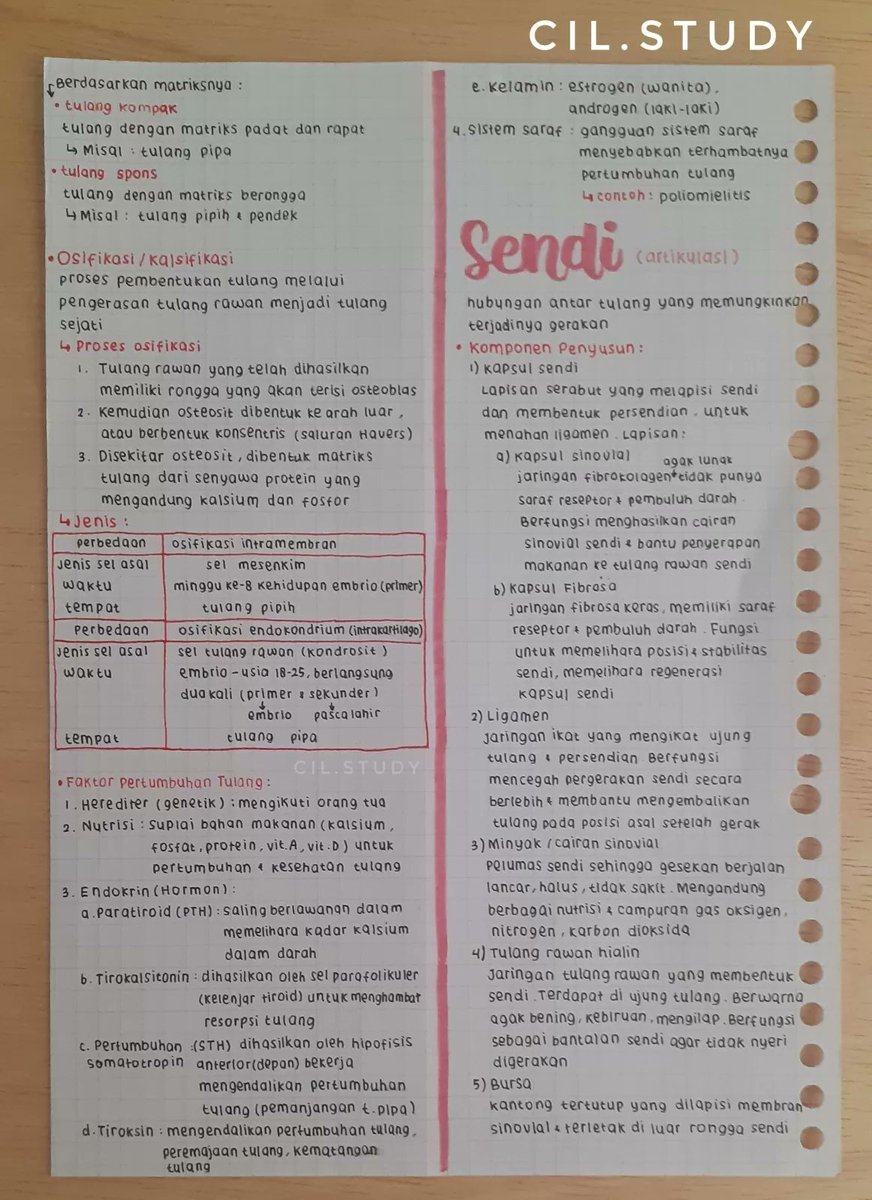 Clearnote Indonesia tweet media