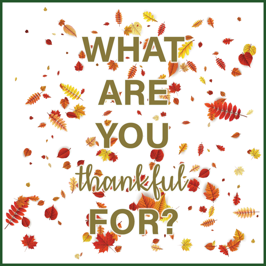 CMORSolutions's tweet image. What are you thankful for? 
#thanksgiving #blackfriday #thankful #autumn #fall #family