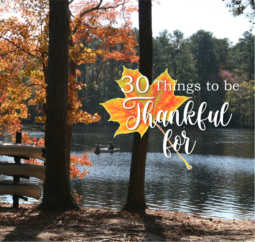 SaltyS_Route's tweet photo. 30 Things to be Thankful for - #26
Water--The waterways such as the Blackwater River, Nansemond River, and Lonestar Lake provide beauty, serenity, and adventure.
#thankful #RidetheRoute https://t.co/FHRvgiAcwa