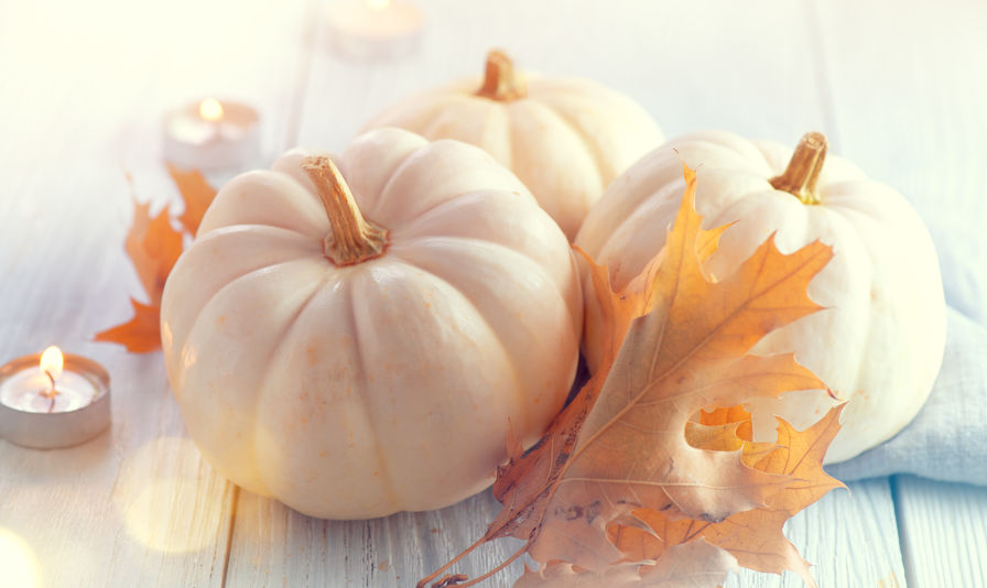 As we celebrate Thanksgiving, our offices are closed today. We will reopen on Monday, November 30, 2020 at 8:00am. Happy Thanksgiving!