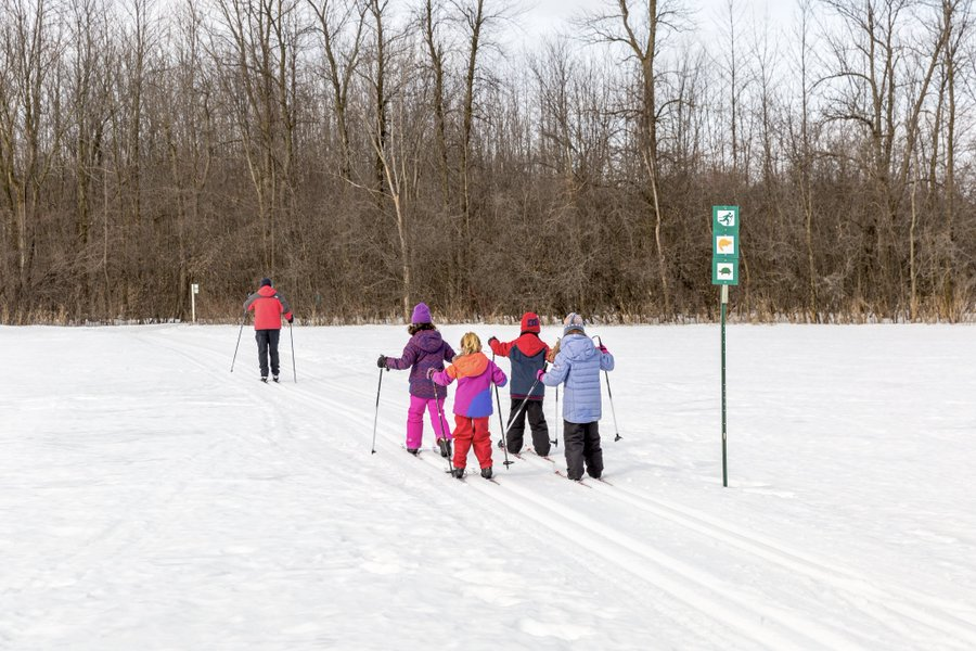 Montreal 25 "Resorts" will include outdoor furniture, colored lights and aim to brighten up the public spaces citywide. Sporting equipment will also be available to rent city-wide with dozens of free public skating rinks available. /2 https://montreal.ctvnews.ca/a-montreal-winter-resorts-will-be-set-up-across-the-city-parks-will-remain-open-for-sports-1.5205871