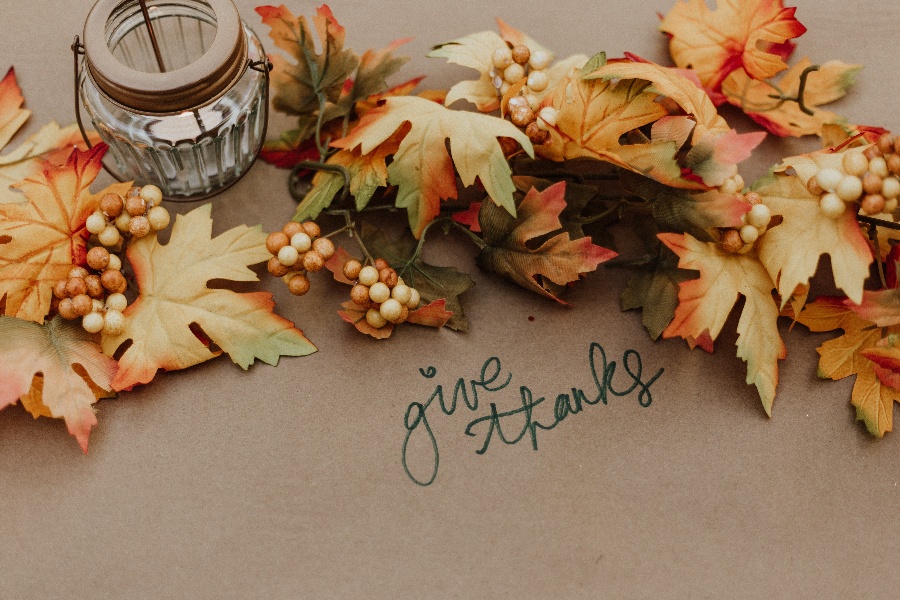From the team at MyGov, we want to wish you and your family a happy and healthy Thanksgiving holiday!