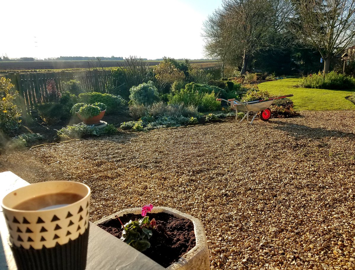 ceelzm's tweet photo. Having a late breakfast/lunch and a #hotchocholate after a few hours of weeding. Such a gorgeous, windless day ... can't believe it's December next week!
#gardening #nature #LunchTime https://t.co/xHqrCAqmXM
