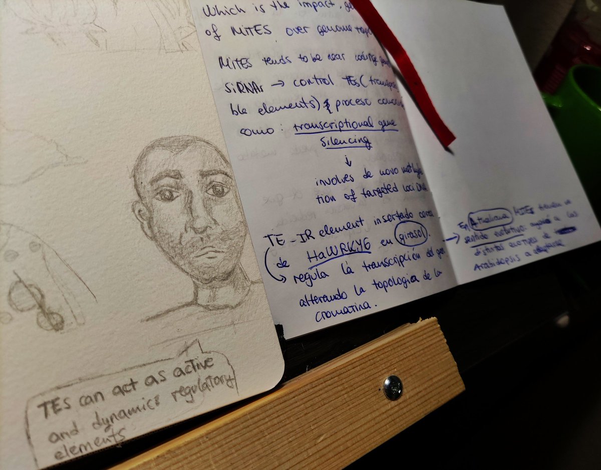AnaBelenStyles's tweet photo. Quick sketch of @manavellalab  while taking notes about his interesting talk! Perfect way to close @xvrbmp See you all next year 👏 #xvrbmp https://t.co/XklcObcjlQ