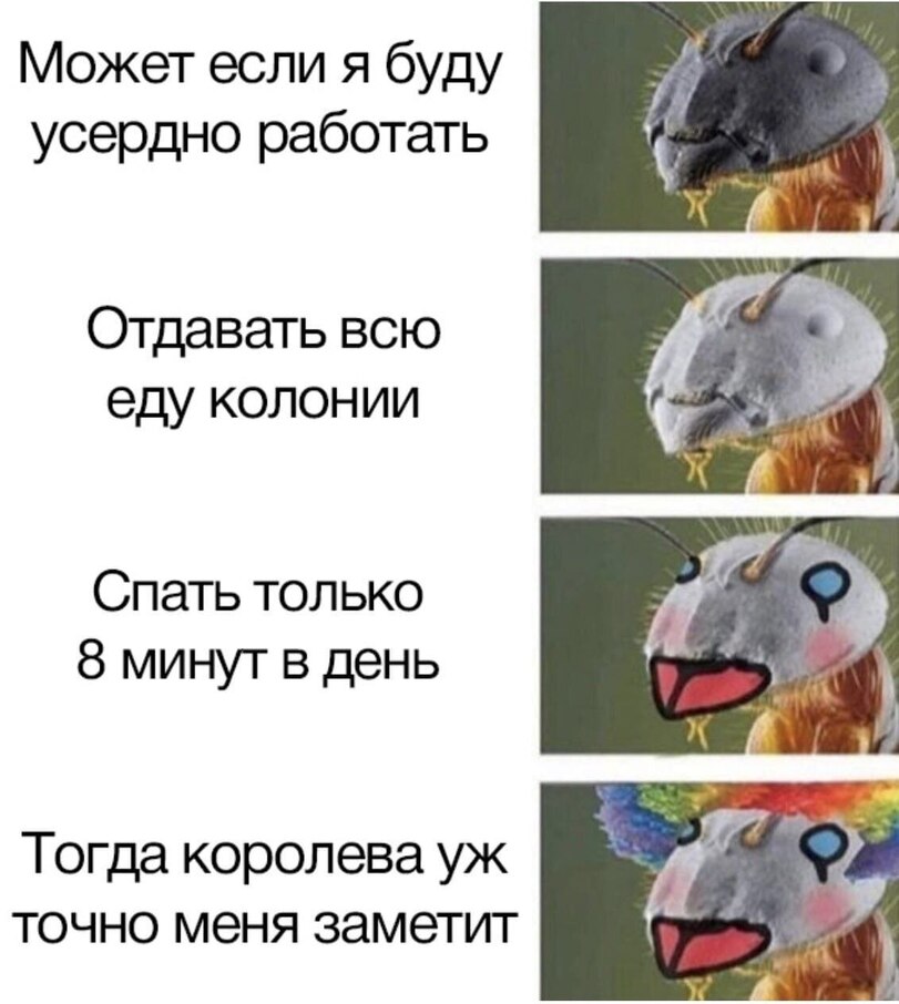 En1TVifXcAI4cfN?format=jpg&name=medium