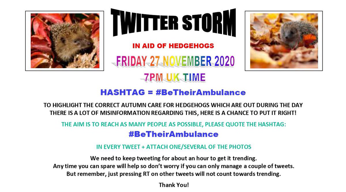 The_Tardis_Toms's tweet image. ‼️TWITTER STORM ‼️ 7pmUK time. Here’s your chance to help, please quote the hashtag #BeTheirAmbulance to raise awareness about autumn #hedgehogs and attach one/some of the photos, TY.  #hedgehog @StevieEvilCat @AlanDaffern @eeeeclare @gromekcat @DCKitty @phycoinsc @georgella13