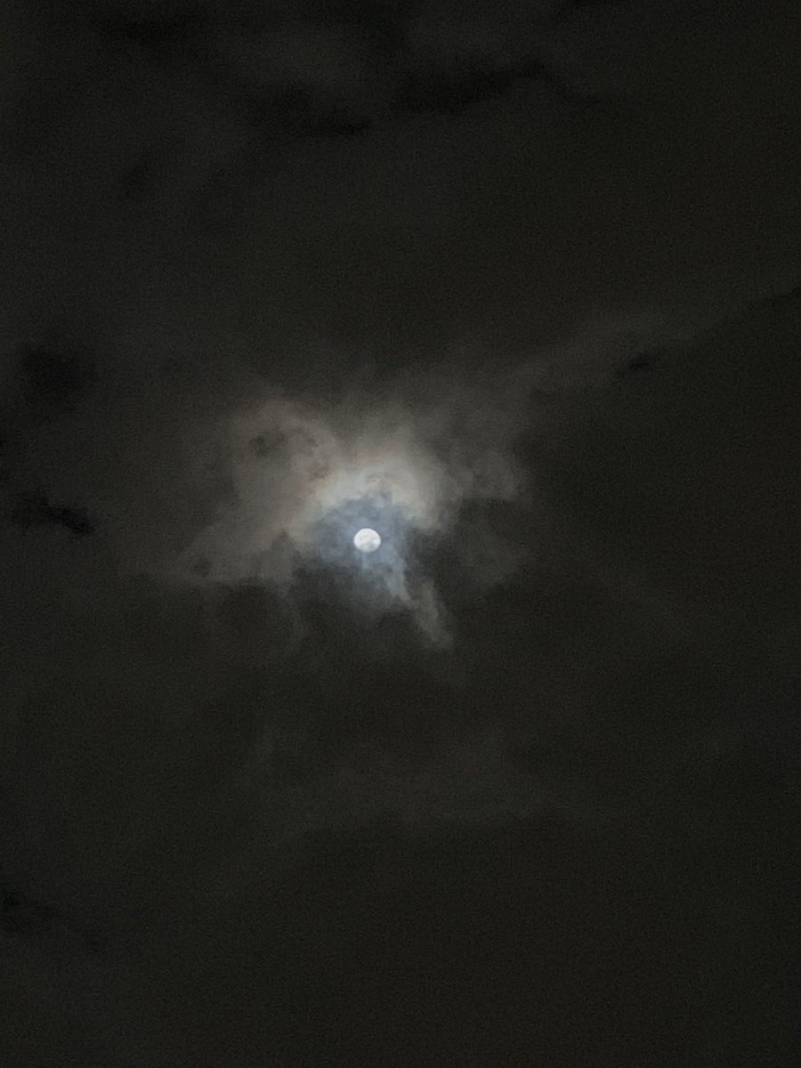 christielim's tweet photo. Muni-muni time with the moon while listening to @shesonlysixteen’s new EP 🌝 A MOOD https://t.co/9FdJOLgtyh https://t.co/eFZ6BjIJ4J