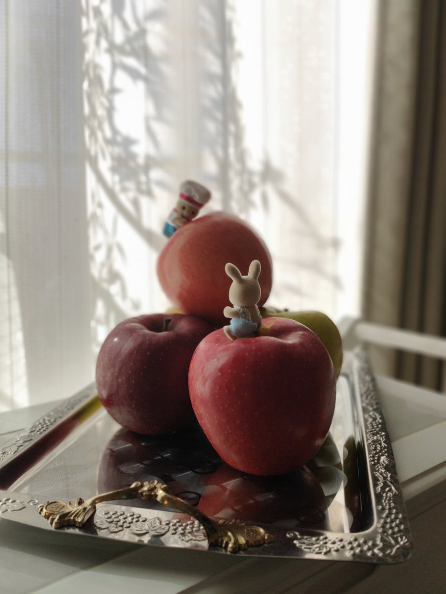 「一日一個の林檎は医者知らず!」
「どうやってたべようか わくわくしますね。」
-An apple a day keeps the doctor away!
-So excited to think of how to eat these apples by the end of this winter😂
#シルバニアファミリー
#シルバニアの赤ちゃん
#りんご
#sylvanianfamilies
#apples https://t.co/wF5M0wqjCl