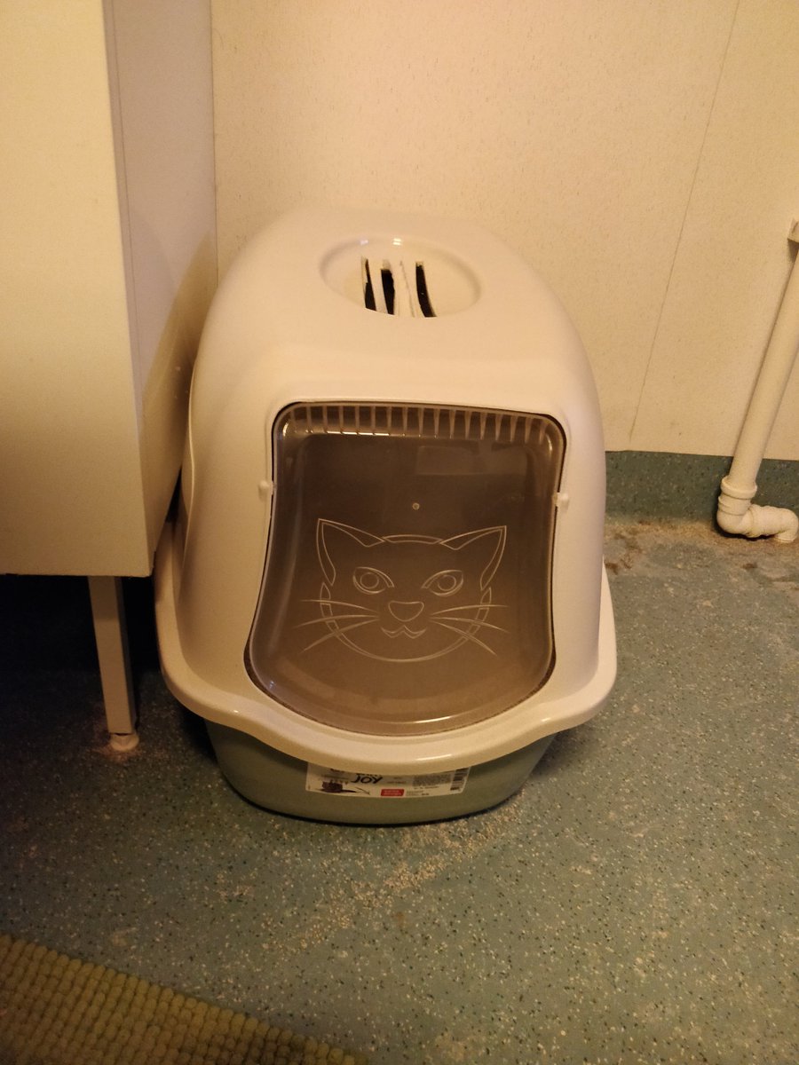 oskurd1's tweet photo. Bought new super toilet for Lily today. Just need order doorbell for her as well.
#cats #cat #catsowner #catslife https://t.co/bi9g7N0piL