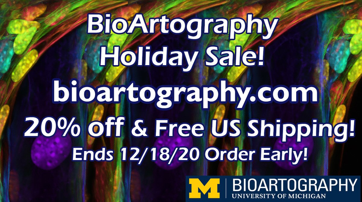 🎁🎨🔬 Looking for the perfect Science-themed holiday gift? All BioArtography 20% off w/Free US Shipping! Over 200 images at bioartography.com 

Support scientific outreach &amp; share the holiday love! ❤️