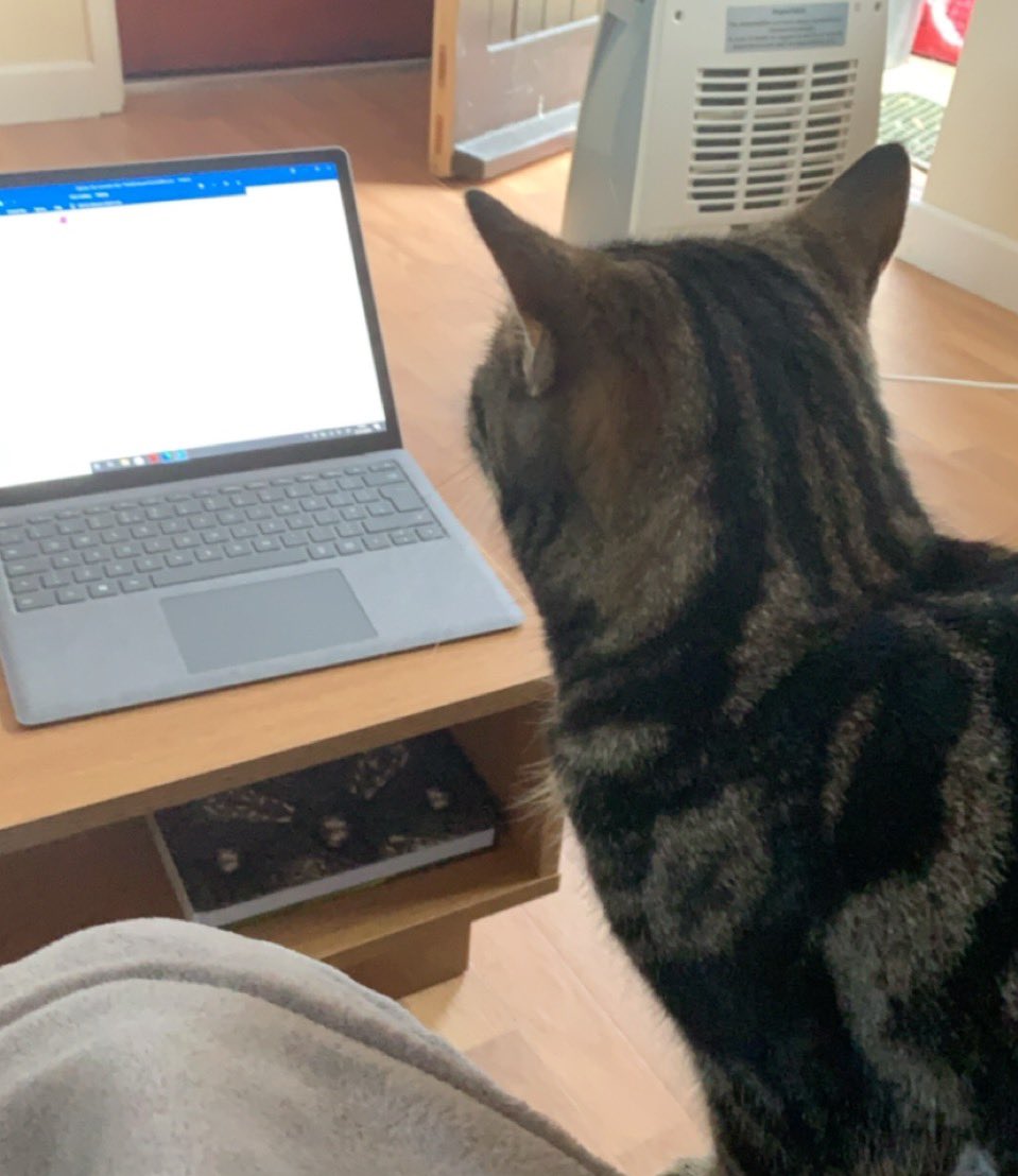 Dr. Lara Hogg tweet media