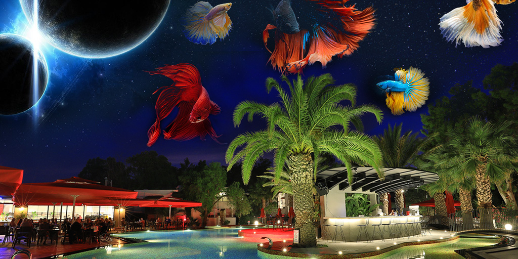 Verychicbodrum's tweet photo. 📌We're just two lost souls
Swimming in a fish bowl
Year after year...Wish You Were Here!
📌2021 sezonunda sizleri bekliyoruz...
#gençlik #modern #hip #verychic #art #bodrum #luxuryhotel #sanat #instadaily #safeisthenewluxury #verychichotel #youth #love #community #holiday https://t.co/QIUl634ET9