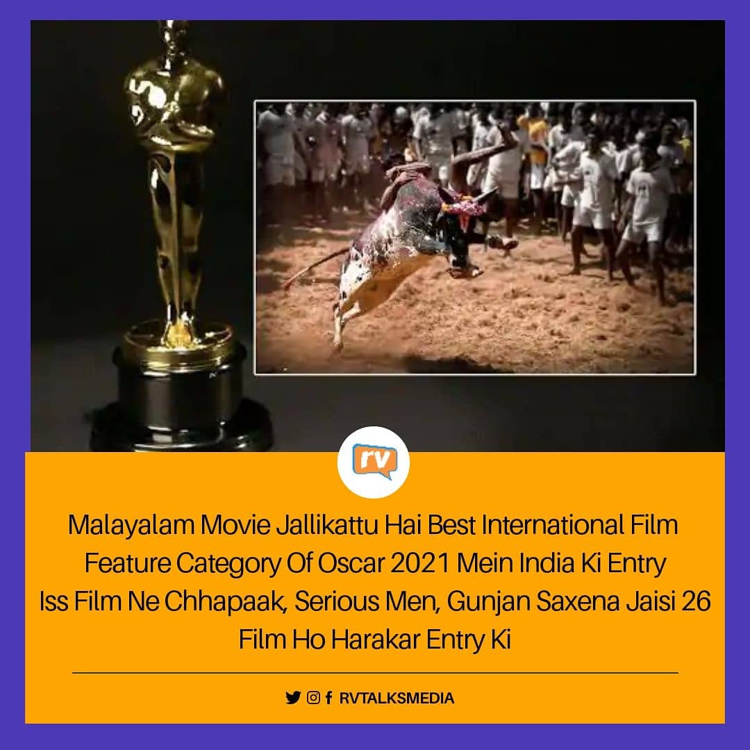 hinglishgram's tweet photo. Oscar 2021 Ke Liye Best International Film Feature Category Me Hai Malayalam Film 'Jallikattu' 😍 #rvtalks #rvmedia #rvtalksmedia #Jallikattu #JallikattuForOscars #BhumiPednekar #Andhaghaaram #9YearsOfMayakkamEnna #AUSvIND #Oscars2021 #AnushkaShetty #BlackFridayAmazon https://t.co/2LSEW2cyY1