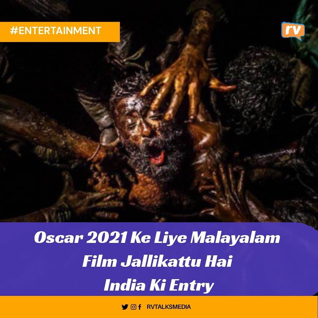 hinglishgram's tweet photo. Oscar 2021 Ke Liye Best International Film Feature Category Me Hai Malayalam Film 'Jallikattu' 😍 #rvtalks #rvmedia #rvtalksmedia #Jallikattu #JallikattuForOscars #BhumiPednekar #Andhaghaaram #9YearsOfMayakkamEnna #AUSvIND #Oscars2021 #AnushkaShetty #BlackFridayAmazon https://t.co/2LSEW2cyY1