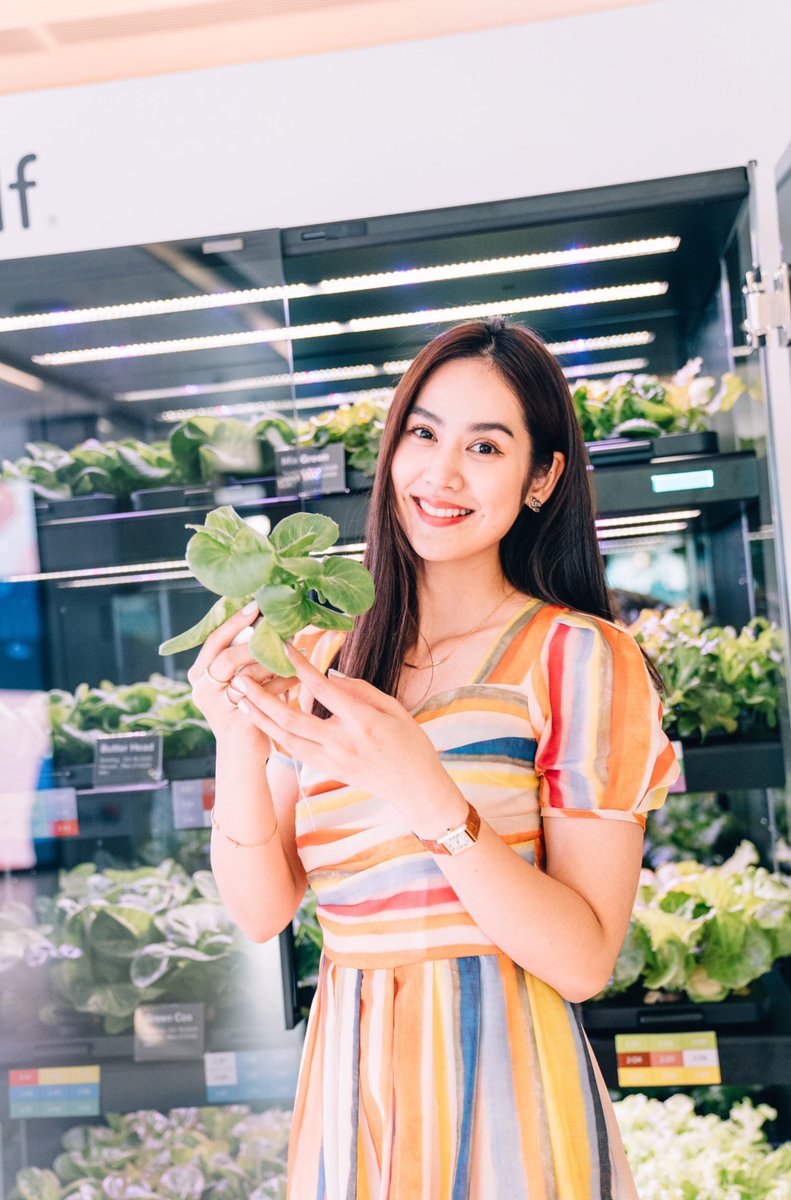 เก็บผักไปทานกันค่ะ กับ #farmshelf ที่ Siri Campus  ดีงามมากมาย ถึงจะรอหน่อย จะได้ทานแน่นอนค่ะ #sustainability 💚🌿