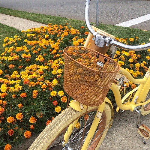 Things I learned while working for our postal service (a thread)