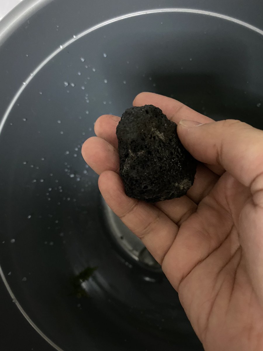 徹 南米ウィローモスを溶岩石に付ける 溶岩石の上に南米ウィローモス置いて木綿糸をぐるぐる巻き付けてドボン まぁ適当っすよこんなん笑 糸が溶ける頃には石に引っ付いてるはず 他にも三種くらい水草買ったけど名前忘れちゃった