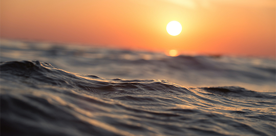 7 LUGARES QUE DEBES CONOCER EN VILANOVA I LA GELTRÚ 🏖

Tenemos muchas ganas de descubrirte otra Vilanova i la Geltrú, que tiene tanto por descubrir para venir en pareja, amigos o familia. 🤗

Descubre todo lo que tiene Vilanova i la Geltrú 👇

hoteldesitges.com/es/7-lugares-q…