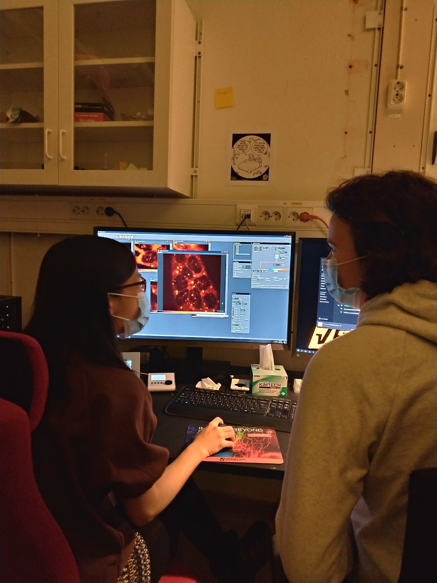 the_ewing's tweet photo. Friday feelings....
#fridaymicroscopy #ewinggroup https://t.co/7iLhqXDYKi