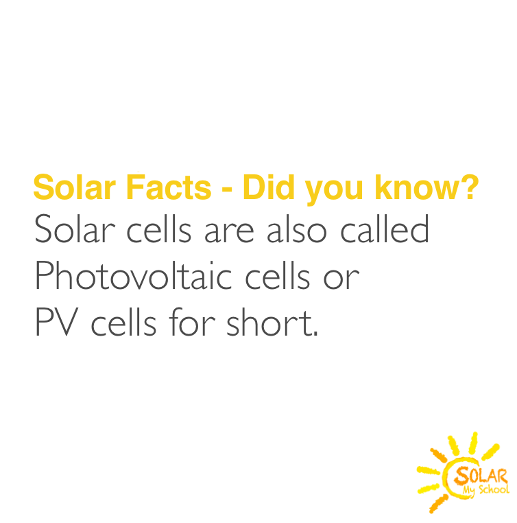 Solar cells are also called PV cells #SolarFacts

#SolarCells #Photovoltaic #PV #Solar
 #SolarMySchool #SolarMyWorld 
#Solar #NonProfit #SolarPower #RenewableEnergy #Education #BecauseOurSunShinesDownOnEveryone