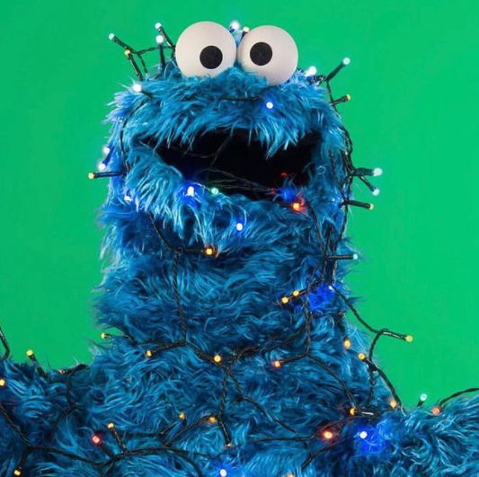 sesamestreet's tweet photo. #Mood the day after Thanksgiving https://t.co/VKkmiXXUYz