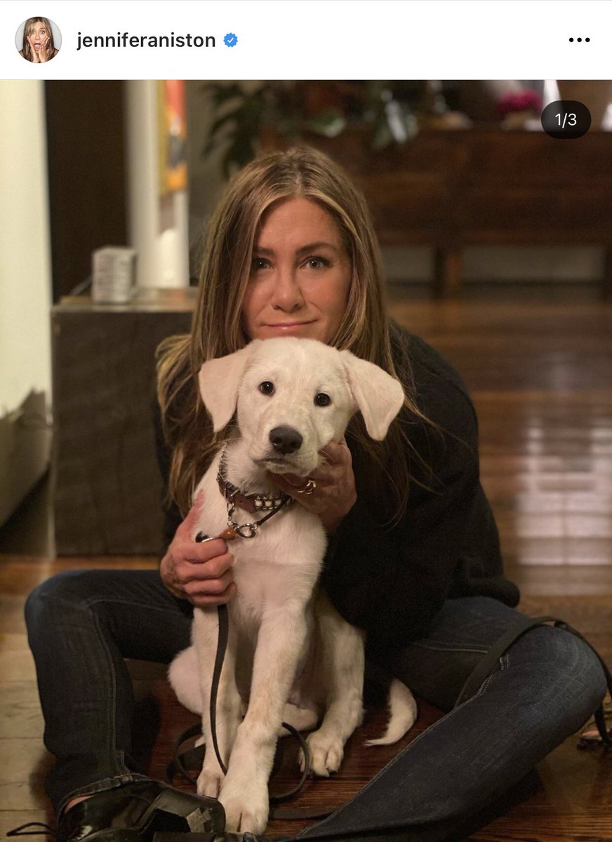 ShawnOnInsta's tweet photo. ♥️ @/ShawnMendes liked @/jenniferaniston' post on IG https://t.co/zKFVYTX1zk