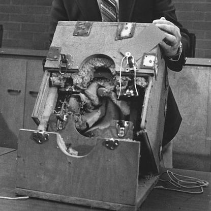 MoreThan_Murder's tweet photo. Episode 8 The Bloody: Girl In The Box is OUT NOW! Join us as we discuss the case of a 7 year long kidnapping in 1970's California
#truecrime
#truecrimepodcast #podcast #podcasting #thegirlinthebox #survival #manipulation #Applepodcasts #Spotify #googlepodcasts #like #RETWEEET https://t.co/csYHm6XROX