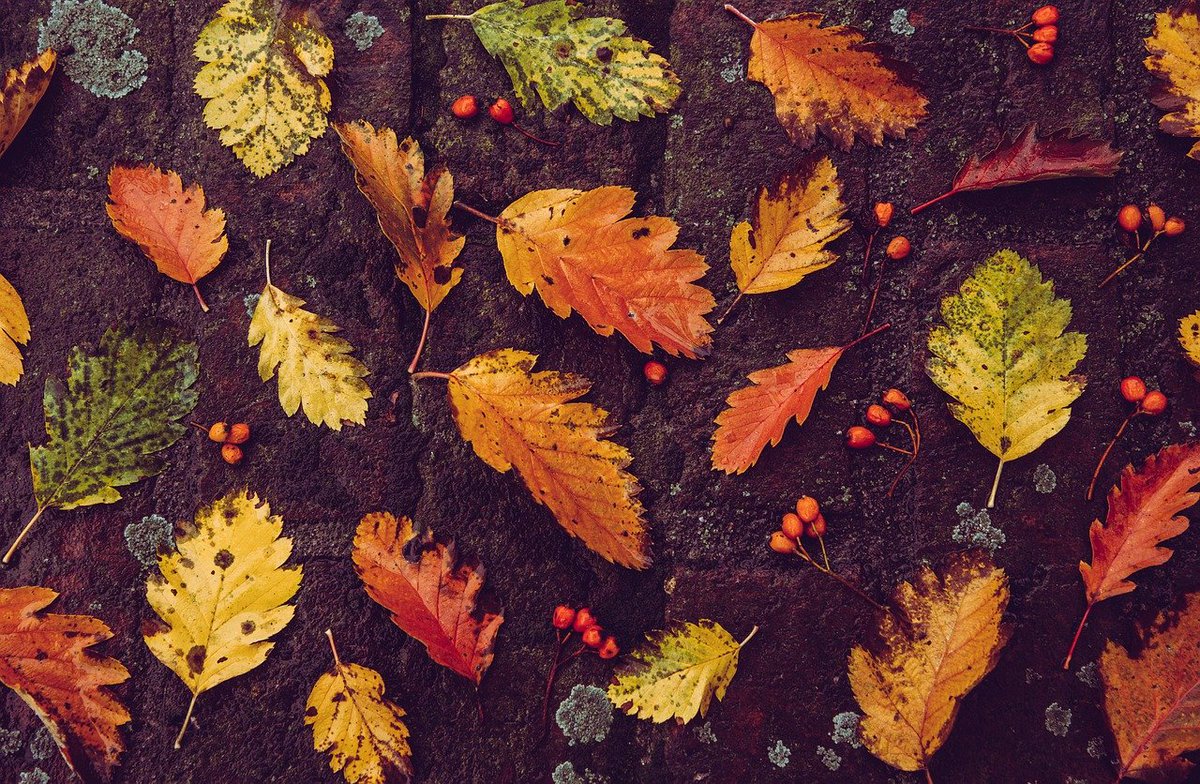 Eastburngray's tweet photo. Our offices are closed today. We will reopen on Monday, November 30th. https://t.co/EYu9UxvQ7p
