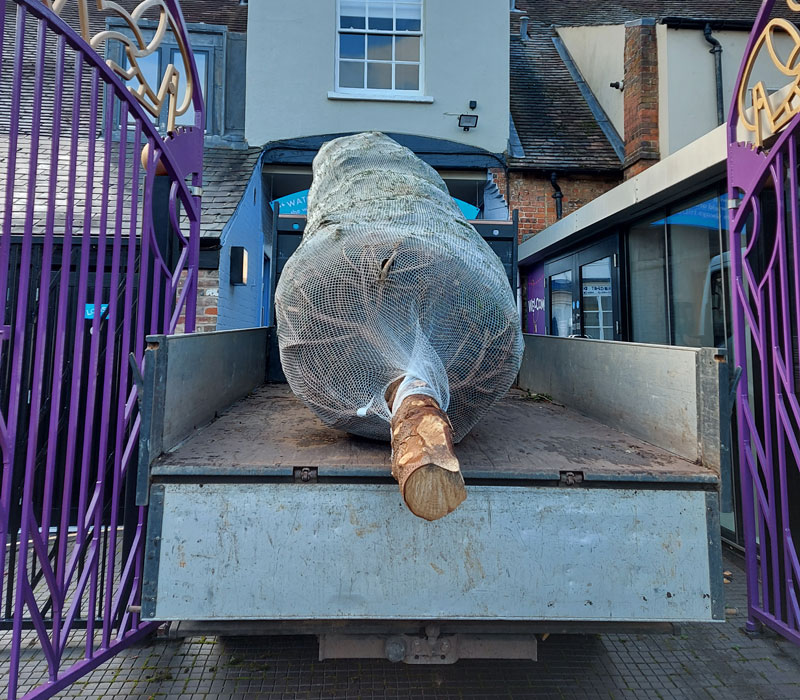 roalddahlmuseum's tweet photo. HUGE thanks to @Peterleyfarm for our giant #Christmas tree that arrived today. And another BIG thank you to The Plant Specialist for delivering the tree and putting it up. 🙌🙌

All ready for decoration next week, so it will be looking rather Christmassy when we re-open. https://t.co/Z7CfJQDM9R