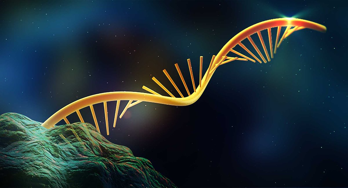 GeneTherapy_SN's tweet photo. Trending among our #GTReaders this week, a #GTReview exploring the use of #saRNAs as #vaccine candidates for infectious diseases by @WitsUniversity researchers including our associate editor in South Africa, Kristie Bloom. See more here➡️https://t.co/1ilN1u06KU
📸: CC 4.0 https://t.co/iFGCFt9ybd