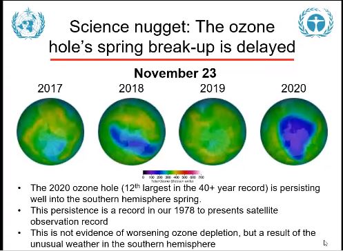 UNDP_Uzbekistan's tweet photo. #MontrealProtocol parties meeting #COP12/#MOP32 is #happeningnow. Our partners from #Goskomecology are emphasizing 🇺🇿's active cooperation in promoting #green economy including the transition to ozone-friendly technologies of a low global warming potential
https://t.co/NKjbKthjhy https://t.co/s3ZoO5aWk0