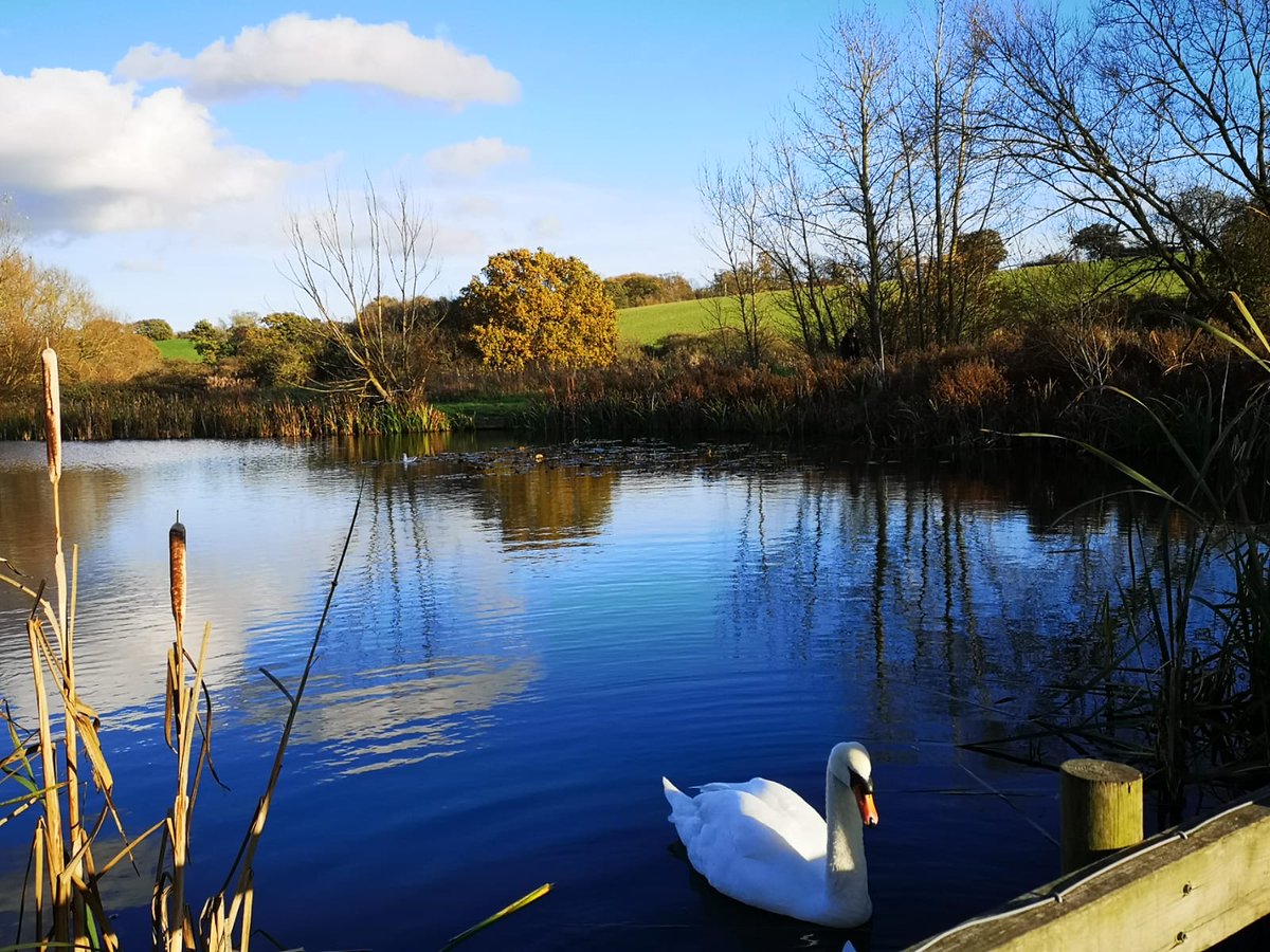 S is also for  #SalaryBrook. Another fantastic local nature reserve to explore, including fishing ponds, meadows, and a childrens play area.  #AtoZofLockdownColchesterThanks to  @vteamessex for the photos! https://www.visitcolchester.com/things-to-do/salary-brook-local-nature-reserve-p1190851