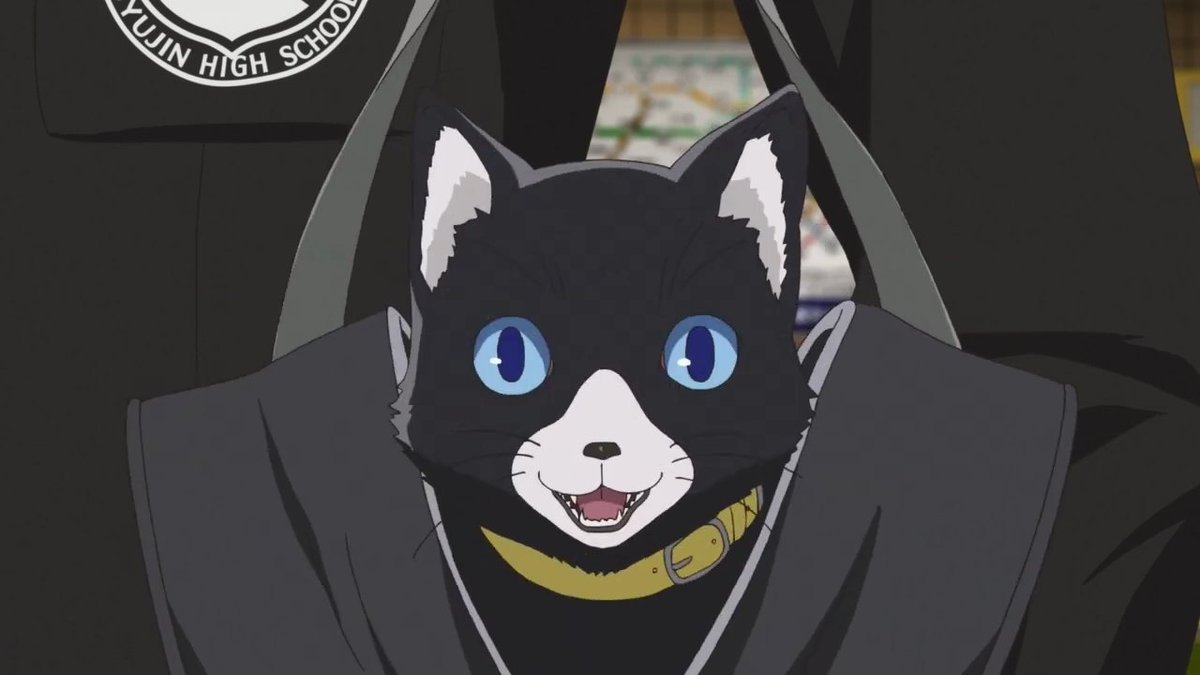 Foxhounder_95's tweet photo. Ver el anime para sacar screen de Morgana es mi pasión (?
#Persona5 #Persona5Animation #P5A #Morgana https://t.co/ypRx4YHy2v