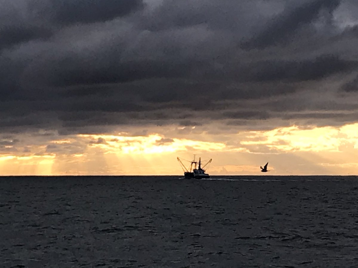 PZ 657 ‘Our Anna’ thuisstomend naar Harlingen.