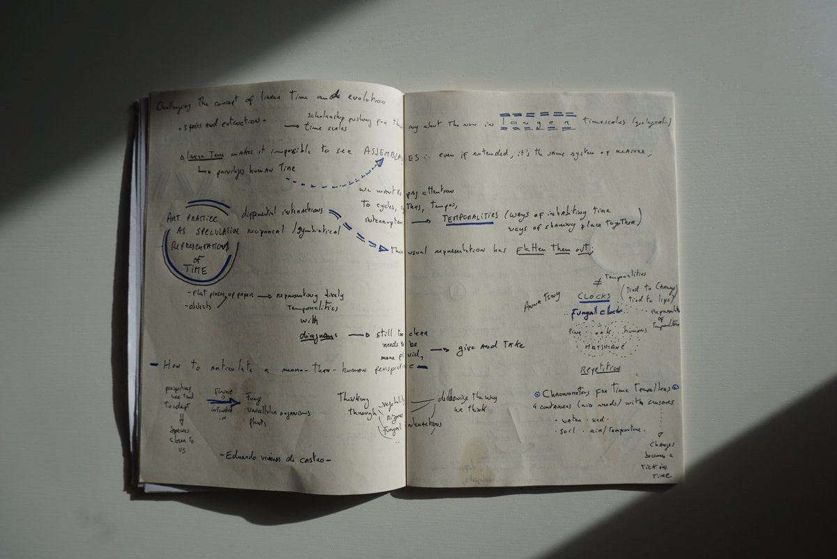 Radio_Web_MACBA's tweet photo. Hola mundo! Does anyone have by any chance field recordings of rice fields that we may be able to use for our amazing conversation with Elaine Gan? If so, please DM us! Also, if you know anyone we should get in contact with, DM us as well. Gracias! https://t.co/mQfVmeUIry