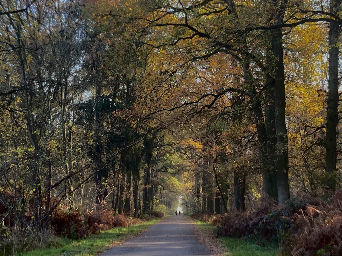 Al weken uit de running door een longontsteking. Vandaag kon ik een klein blokje om op de fiets. Een betere remedie is er eigenlijk niet #teamherfst #herstelwerkzaamheden