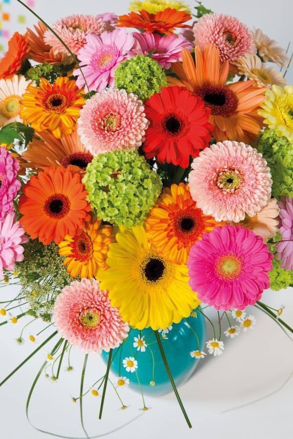 Black Friday? No, let's make it a Colourful Friday today! Buy a bunch of cheerful gerberas at your local florist and brighten up your day! 🙂 #colourfriday
