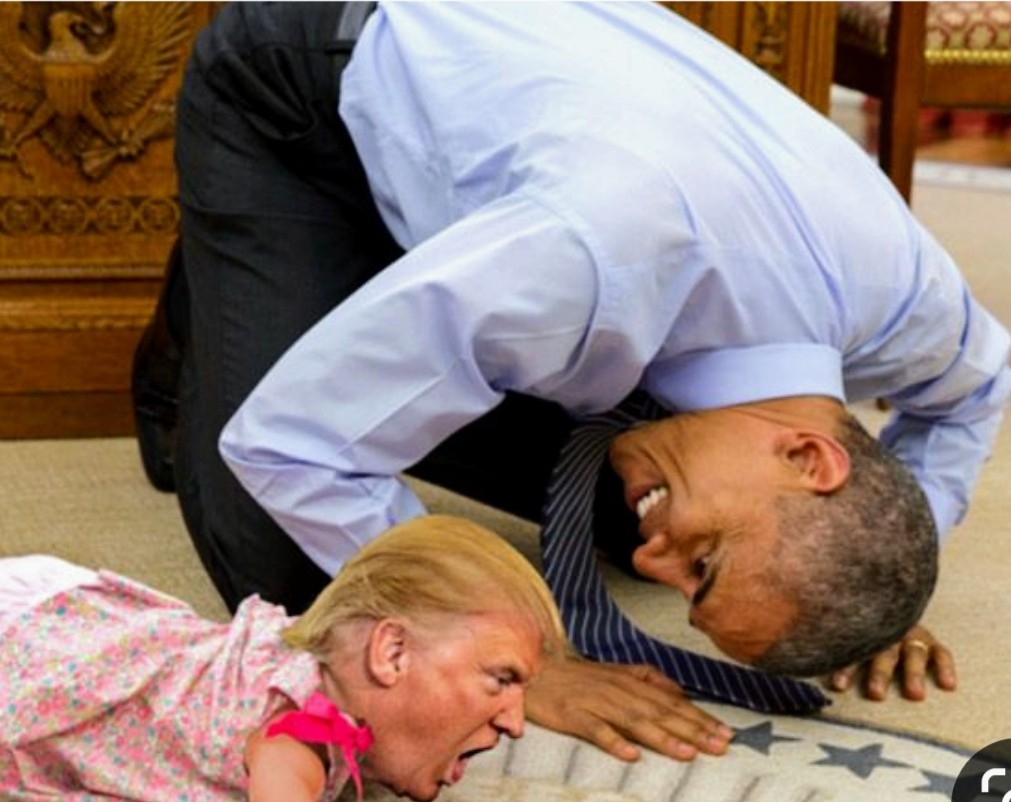 Can't believe I woke up to see #DiaperDon trending !😄💙💙