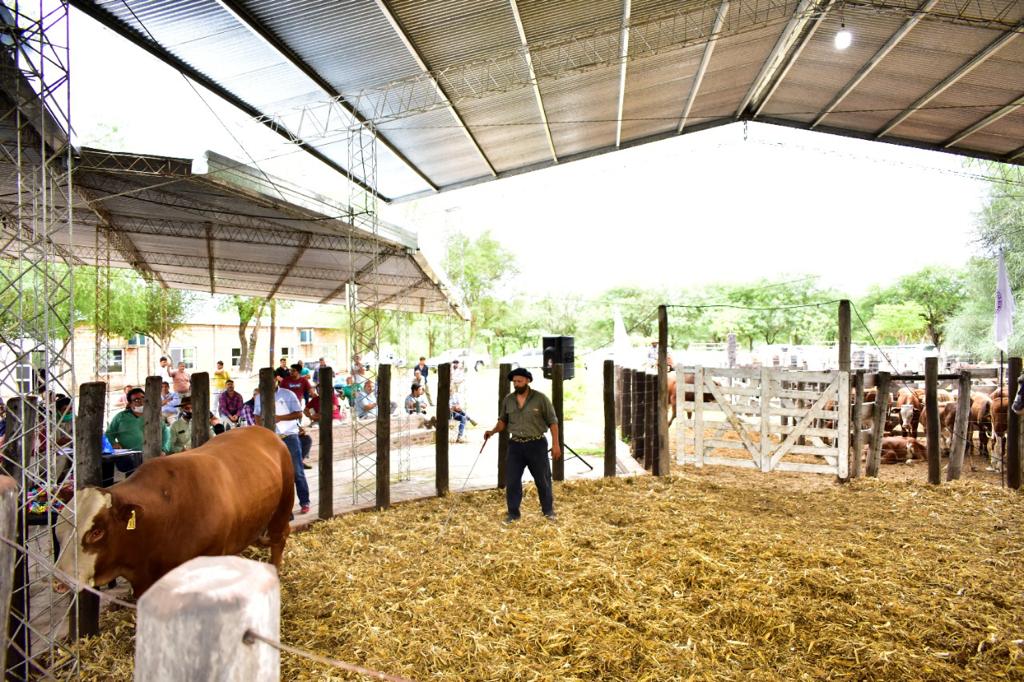 AtilioBasualdo's tweet photo. ¡Felicitaciones a los productores y a Cabañas Formoseñas Integradas!
#AtilioBasualdo #PabloBasualdo
#MeGustaVerteCrecer❤️ https://t.co/yVwdrN7CP0