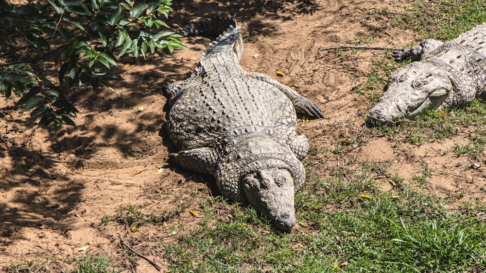 GatorsDaily's tweet photo. ITS FLAT FUCKERS FRIDAY https://t.co/sZHzwnRJnT