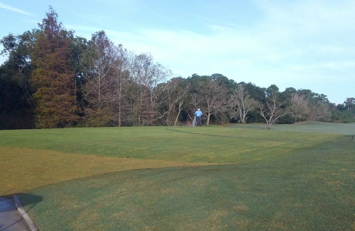 From an unused part of range, to sand capped and sodded. The New Lesson Tee with #Tiftuf and #Trinity sections should be ready to hit off of in a few weeks. 🏌️
#alwayimproving #Turflife