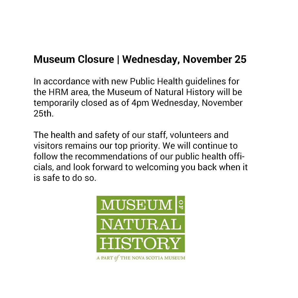 Museum MNH (@ns_mnh) on Twitter photo 