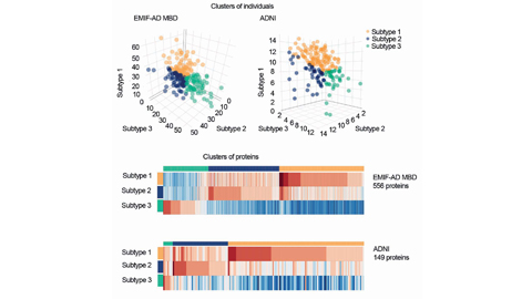 Brain1878's tweet photo. Using CSF proteomics, Tijms et al. identify three Alzheimer’s disease subtypes that show: 1) hyperplasticity and increased BACE1 levels; 2) innate immune activation; and 3) blood-brain barrier dysfunction with low BACE1 levels. https://t.co/O1O1mO9N1l https://t.co/fiCclFeMTb